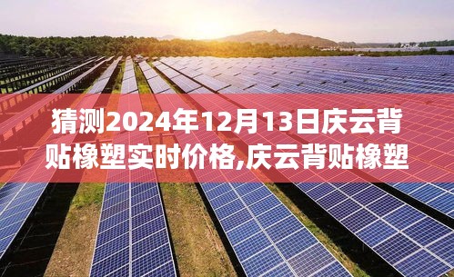 慶云背貼橡塑最新行情預測，聚焦2024年12月13日的行業洞察與價格預測分析