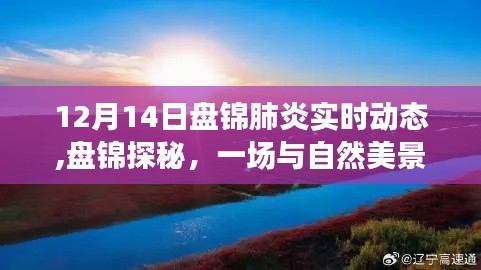 盤錦肺炎實時動態與冬日自然美景探秘，追尋內心的寧靜與平和