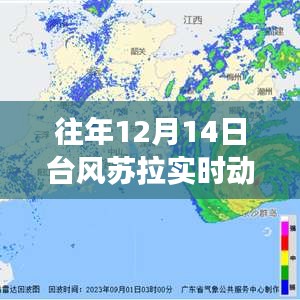 揭秘臺風(fēng)蘇拉下的佛山小巷美食傳奇，風(fēng)雨中的特色小店實時動態(tài)追蹤。