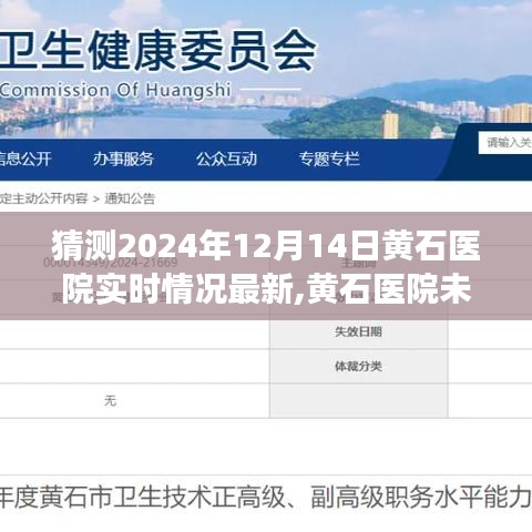 黃石醫院未來展望與實時情況深度分析，觀點論述與最新預測報告（2024年12月14日）