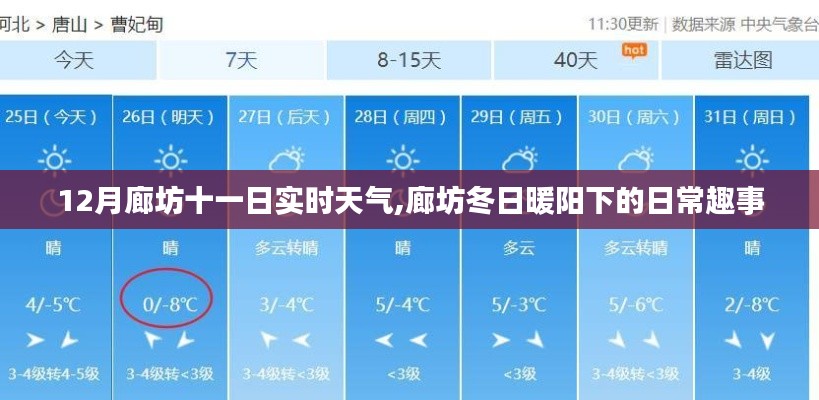 廊坊十二月份十一日實時天氣，冬日暖陽下的日常趣事