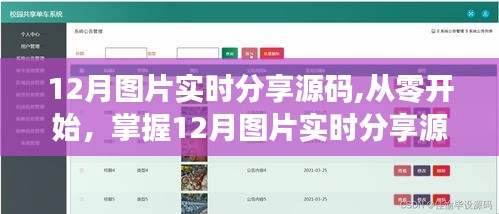 掌握12月圖片實時分享源碼，詳細步驟指南與源碼分享