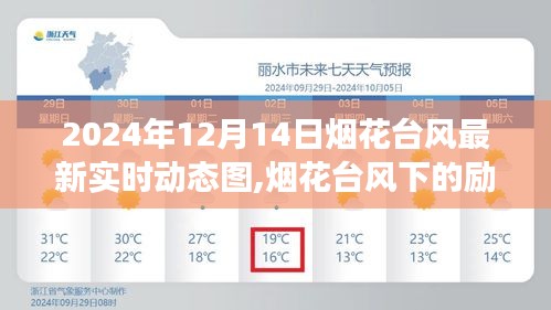 煙花臺風下的勵志之光，實時動態(tài)圖記錄學習成長與自信塑造之旅
