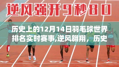 歷史上的羽毛球巔峰對決，逆風翱翔背后的故事，回顧十二月十四日世界排名實時賽事