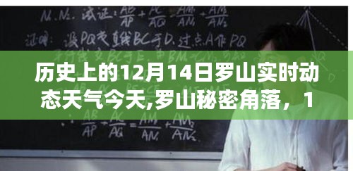 羅山秘密角落美食之旅，探尋12月14日獨(dú)特天氣下的驚喜美食與實時動態(tài)天氣體驗