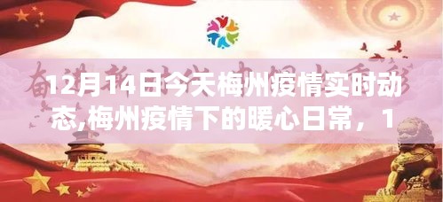 梅州疫情下的暖心日常，實時動態與溫馨時光