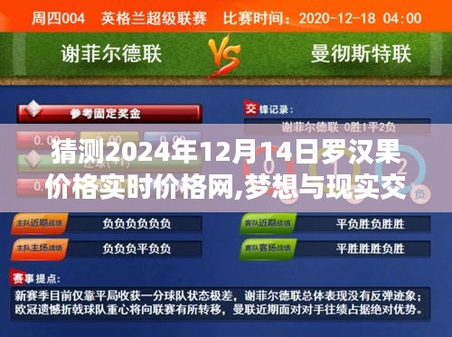 勵(lì)志之旅，預(yù)測(cè)羅漢果價(jià)格實(shí)時(shí)走勢(shì)，夢(mèng)想與現(xiàn)實(shí)交匯于2024年12月14日羅漢果價(jià)格網(wǎng)