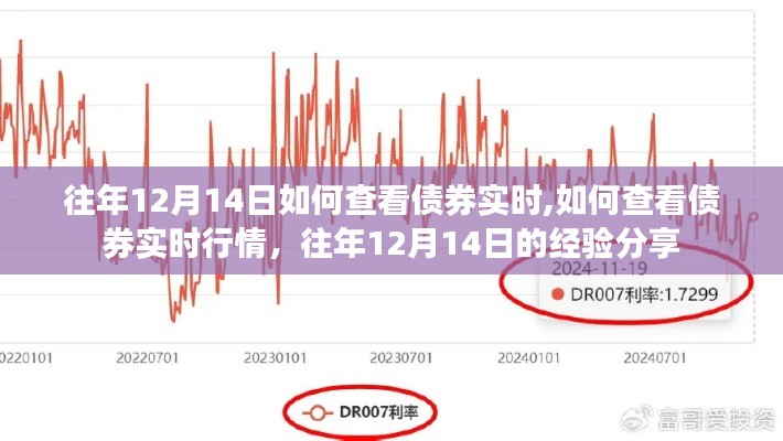 往年12月14日債券實(shí)時(shí)行情查看經(jīng)驗(yàn)分享，如何快速獲取債券實(shí)時(shí)行情數(shù)據(jù)？