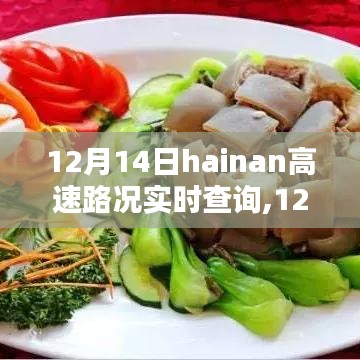 12月14日海南高速實(shí)時(shí)路況查詢，實(shí)時(shí)信息的重要性及其影響力解析