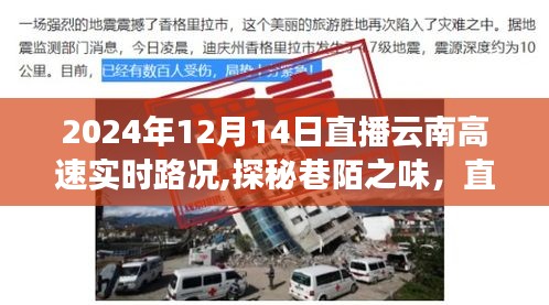 探秘巷陌之味，直播云南高速實時路況下的獨特小店風情