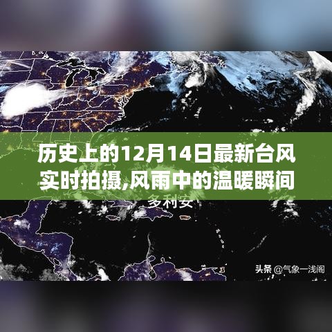 風雨中的溫暖瞬間，記錄特殊臺風下的故事——12月14日實時拍攝紀實
