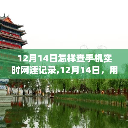 12月14日，掌中網(wǎng)速記錄下的自然美景探索之旅