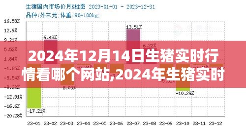 2024年生豬實時行情平臺深度評測，哪個網(wǎng)站最值得信賴？