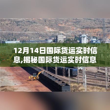 12月14日國際貨運實時解析，全球物流動態揭秘與洞悉之路