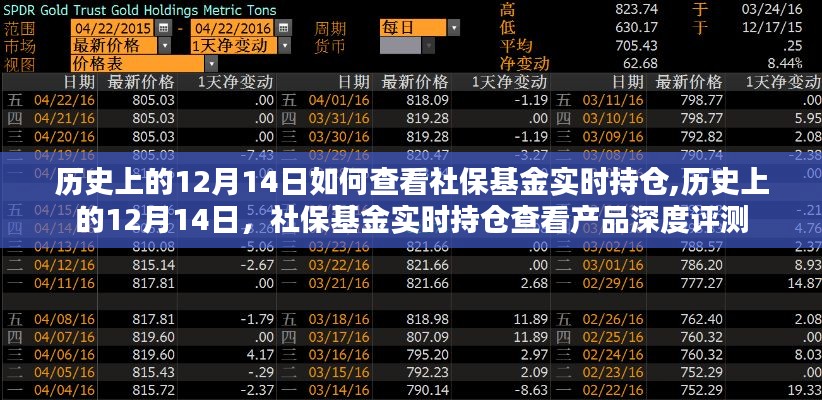 社?；饘崟r持倉深度解析，歷史上的12月14日與產品評測揭秘