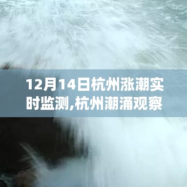 揭秘杭州潮涌背后的故事，十二月十四日漲潮實(shí)時(shí)監(jiān)測(cè)觀察報(bào)告