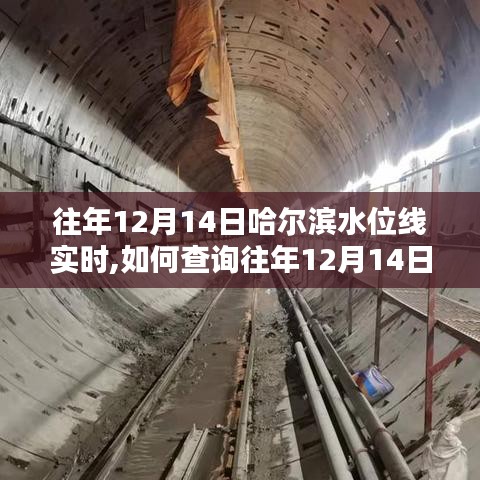 如何查詢往年12月14日哈爾濱水位線實時信息——初學者與進階用戶指南分享