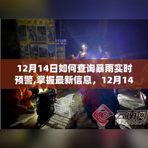 12月14日暴雨實時預警查詢攻略，掌握最新信息，安全度過雨季