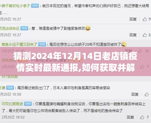 老店鎮(zhèn)疫情實(shí)時(shí)最新通報(bào)解讀指南，初學(xué)者與進(jìn)階用戶(hù)指南，預(yù)測(cè)至2024年12月14日疫情動(dòng)態(tài)分析