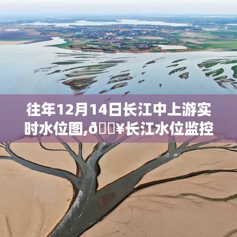 揭秘長江中上游水位動態(tài)，智能實時水位圖系統(tǒng)監(jiān)控新星，展示往年12月14日水位圖