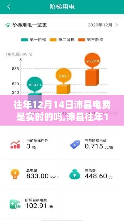 沛縣往年12月14日電費(fèi)實(shí)時(shí)性深度解析，特性、體驗(yàn)與競(jìng)品對(duì)比