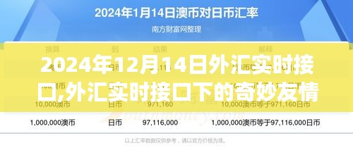 外匯實(shí)時(shí)接口下的友情故事，溫馨時(shí)光在2024年12月14日