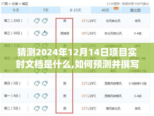 如何預測并撰寫未來項目實時文檔，以猜測2024年12月14日為例的詳細指南與策略分析