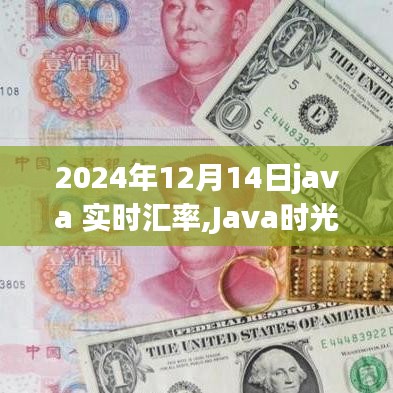 Java時光里的匯率背后的故事，實時匯率轉換與溫馨故事，2024年12月14日。