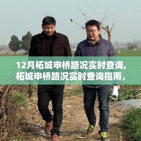 12月柘城申橋路況實(shí)時(shí)查詢指南，出行必備技能