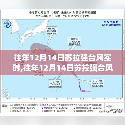 往年12月14日蘇拉強臺風實時，影響與應對策略分析