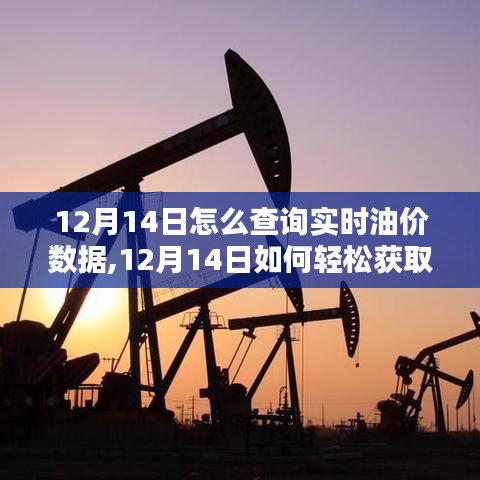 12月14日實時油價數據查詢指南，輕松獲取最新油價信息