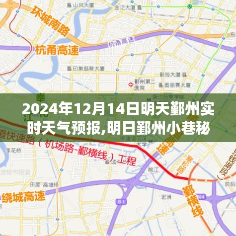 明日鄞州小巷秘境，天氣預報與美食的雙重驚喜（2024年12月14日）