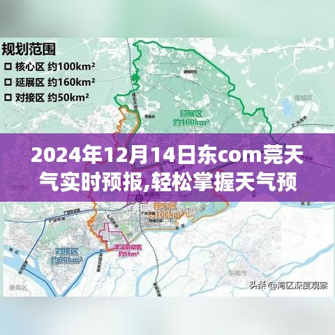 2024年12月14日東莞天氣預報，如何獲取并解讀實時天氣信息