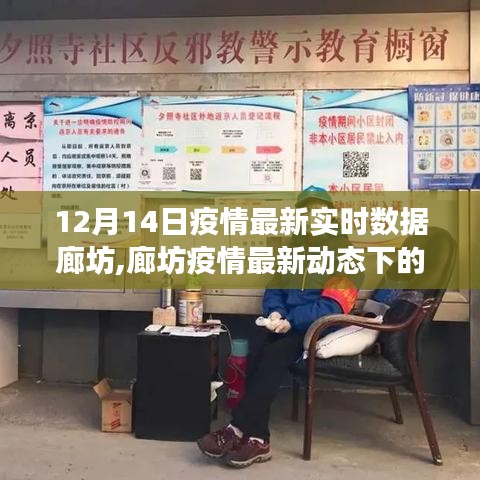 廊坊疫情最新動態(tài)下的美食探秘與實時數(shù)據(jù)追蹤
