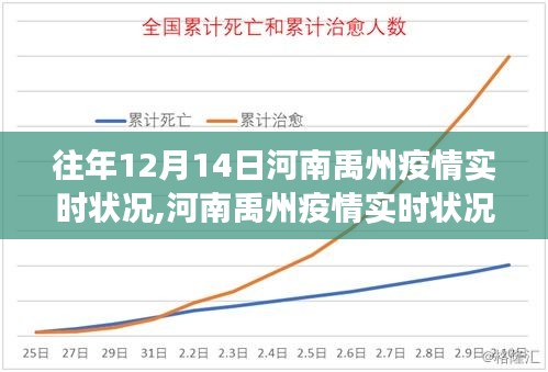 河南禹州疫情實時狀況聚焦分析，歷年12月14日疫情態(tài)勢探討與論述