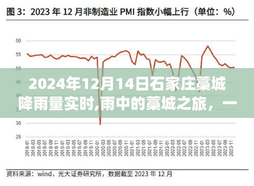 雨中探秘藁城，自然靜謐之旅（2024年12月14日石家莊藁城降雨量實時報道）