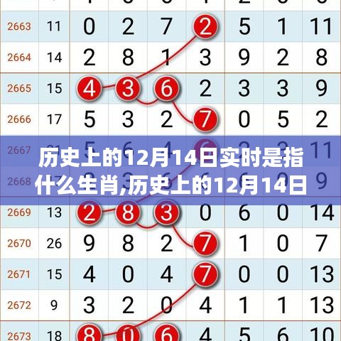 歷史上的12月14日與生肖文化，深度解讀與全面評估