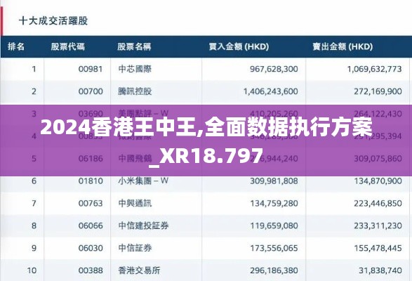 2024香港王中王,全面數據執行方案_XR18.797