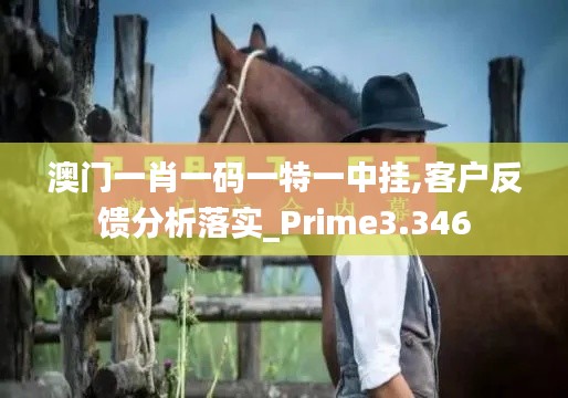 澳門一肖一碼一特一中掛,客戶反饋分析落實(shí)_Prime3.346