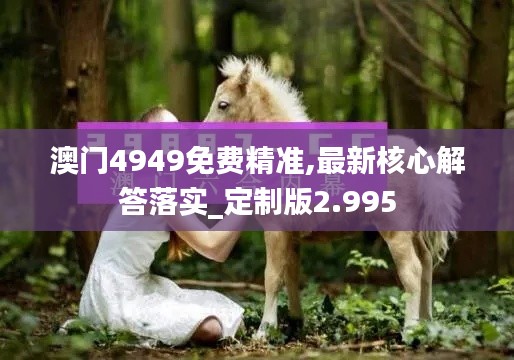 澳門4949免費精準,最新核心解答落實_定制版2.995