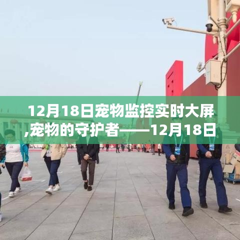 寵物監(jiān)控實(shí)時(shí)大屏深度評(píng)測(cè)與介紹，守護(hù)寵物的守護(hù)者
