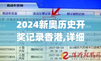 2024新奧歷史開獎記錄香港,詳細解讀解釋落實_微型版5.312