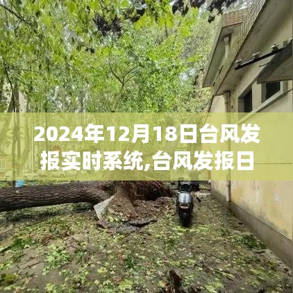 臺風發報實時系統與風的奇妙約會，探索自然美景之旅（2024年12月18日）