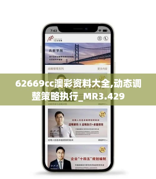 62669cc澳彩資料大全,動態調整策略執行_MR3.429