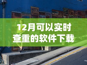 探秘小巷深處的查重寶藏，實時查重軟件下載指南（12月版）