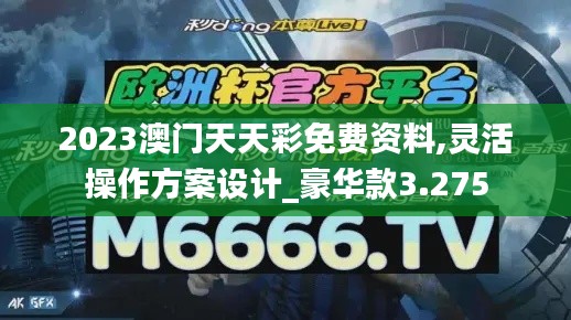 2023澳門天天彩免費資料,靈活操作方案設計_豪華款3.275