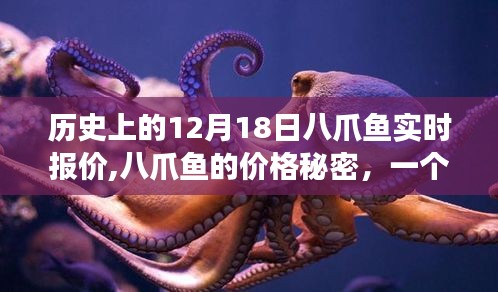揭秘八爪魚價格秘密，溫馨十二月十八日故事與實時報價