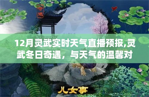 靈武冬日奇遇，實(shí)時(shí)天氣直播與朋友的深厚情誼體驗(yàn)