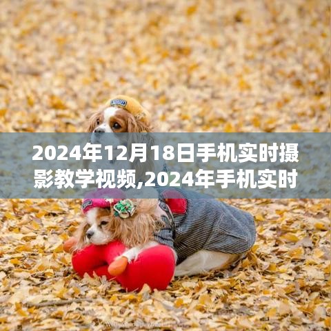 掌握攝影技巧，手機實時攝影教學視頻，記錄生活之美（2024年最新版）