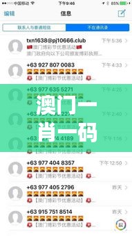 澳門一肖一碼一一特一中：揭秘賭城神秘博彩技巧